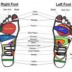 Reflexology foot massage chart